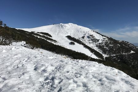 Mount Buller snow day tour