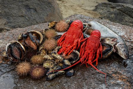 Tasmanian Seafood Seduction cruise