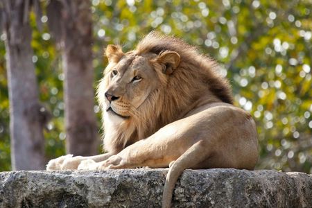 Pafos Zoo Ticket