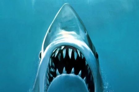 Martha's Vineyard Jaws movie private tour