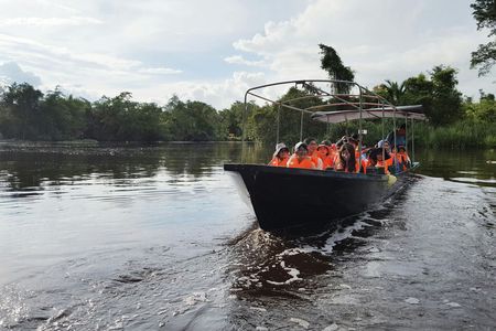 Klias mangrove wildlife and fireflies tour