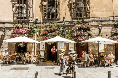 Private and personalized Madrid food tour with a local guide