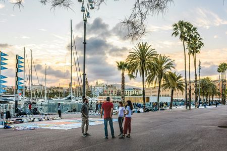 Enjoy a personalized half-day tour in Barcelona with a local