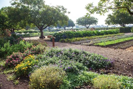 Redwoods Wine & Dine Tour