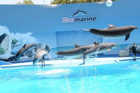 Zoomarine private trip from Lisbon with entrance tickets