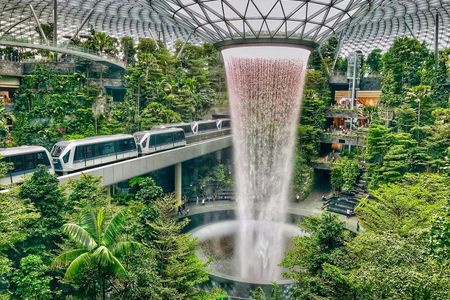 Changi Jewel highlights walking tour with Canopy Park ticket