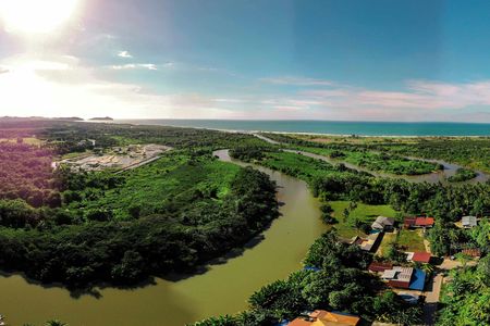 Tamau mangrove wildlife and fireflies tour