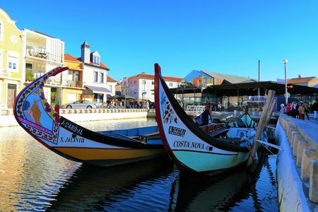 Aveiro and Costa Nova excursion with Moliceiro boat tour