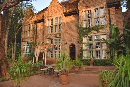 Half-day Karen Blixen Museum and Giraffe Center tour