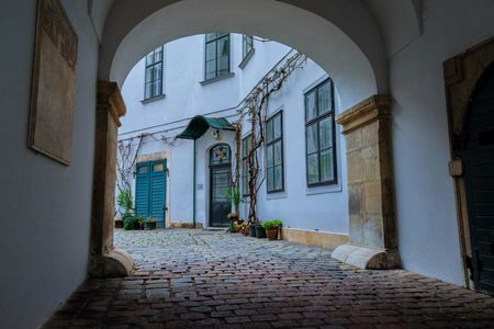 Secrets in the heart of Vienna walking tour