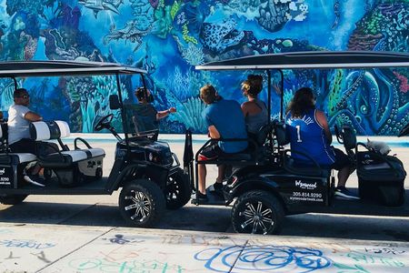 Wynwood graffiti golf cart tour