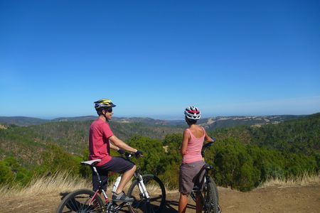 Half-day Lofty Descents tour by bike