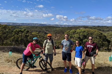 Full-day McLaren Vale bike and wine tour