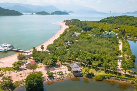 Half-day guided tour to Monkey Island with lunch and transport