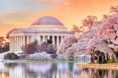 The History of DC: Private walking tour of the National Mall