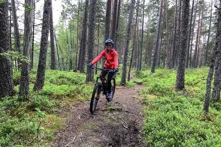 Mountain biking experience through the Voss forest