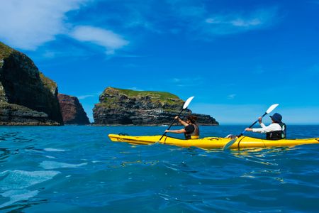 Early bird scenic kayak safari tour