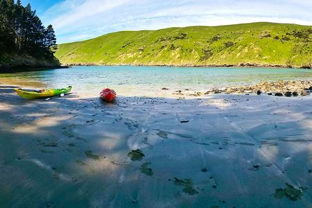 Kayaking and evening penguin tour