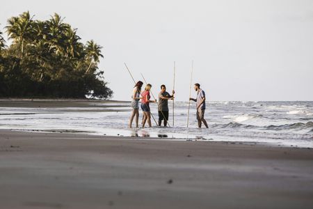 Private full day tour around Daintree and Mossman