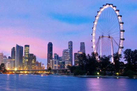 Singapore Flyer observation wheel and Time Capsule entry tickets