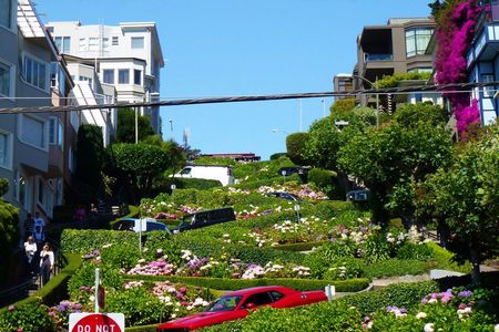 San Francisco Hop-On Hop-Off and Half Day Wine Country Tour