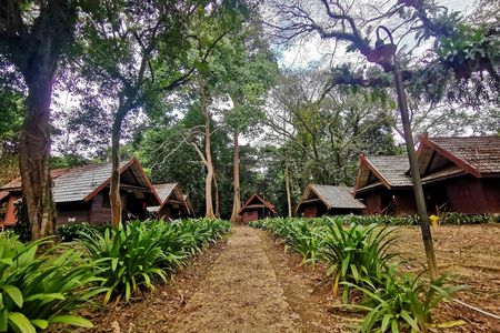 Taman Negara jungle tour