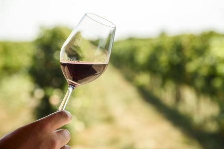 Redwoods and Wine Country combo tour with wine tasting