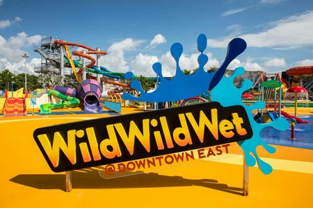 Wild Wild Wet Waterpark Entrance Ticket