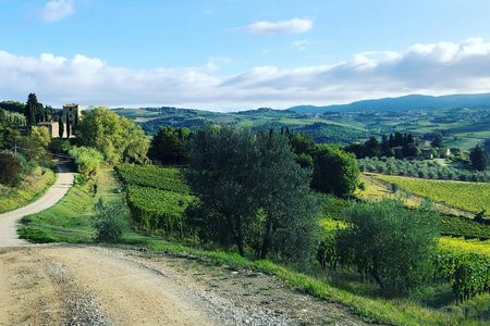 Small-group hike and wine tasting in Chianti with lunch