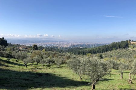 Half-Day Hiking Tour in Fiesole's Hills with Wine and Lunch