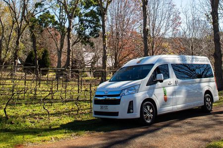 Guided Mount Tamborine wine tour from Gold Coast with lunch