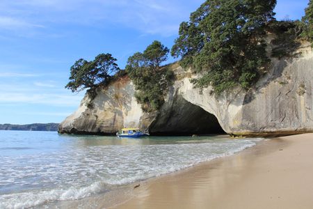 Tour of the Coromandel