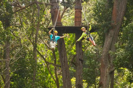 Kohala zipline canopy adventure
