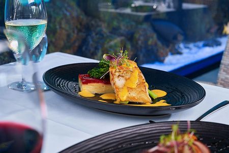 Cairns Aquarium Twilight guided tour with three course dinner