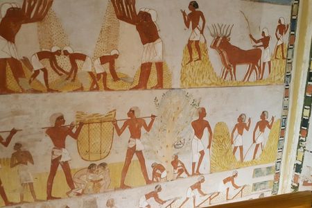 Guided tour of Valley of the Nobles, Medinat Habu and The Ramesseum from Luxor