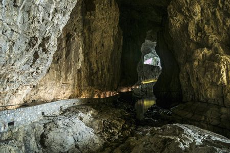 Guided tour of the Lipica Stud Farm and Skocjan Caves from Trieste