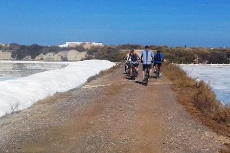 Ria Formosa cycling tour from Faro