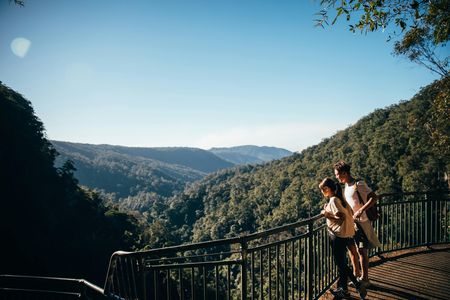 Natural Bridge and Springbrook tour
