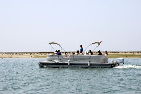 Ria Formosa birdwatching boat tour