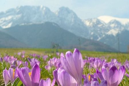 Zakopane and Tatra Mountains day tour from Krakow