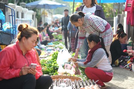 Luang Prabang full-day city tour with Alms Giving and Pak Ou cave