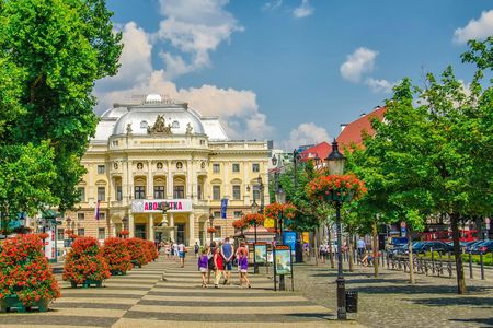 Bratislava walking tour with castle entrance ticket