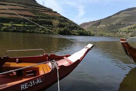 Guided tour of Aveiro and canal boat ride