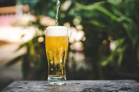 Discover a local brewery in Marseille