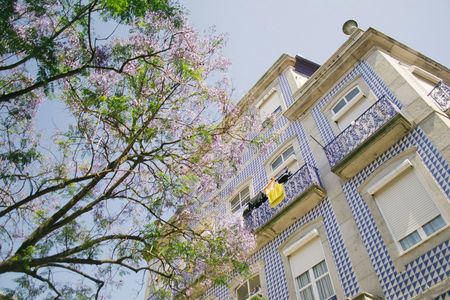 Porto's most photogenic spots walking tour with a local