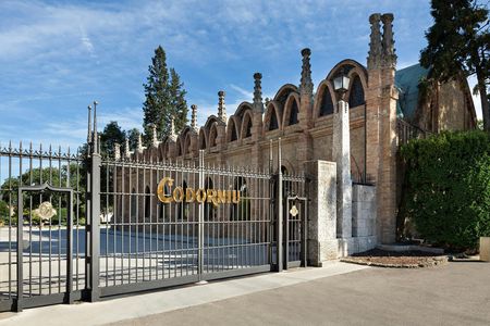 Codorníu winery guided tour with cava tasting