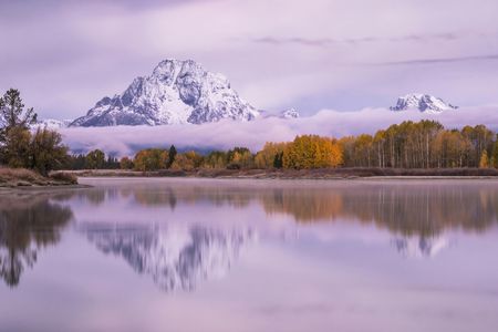 Winter and spring wildlife sunrise safari from Jackson Hole