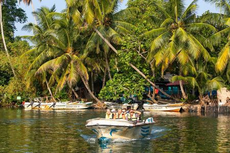 Madu River private boat cruise from Bentota region