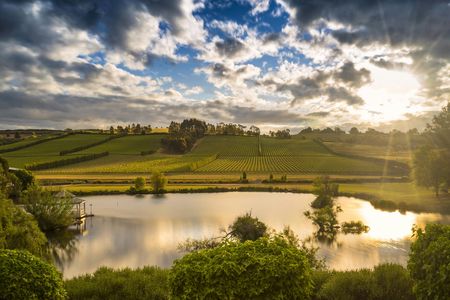 Wine tasting tour at Josef Chromy Wines