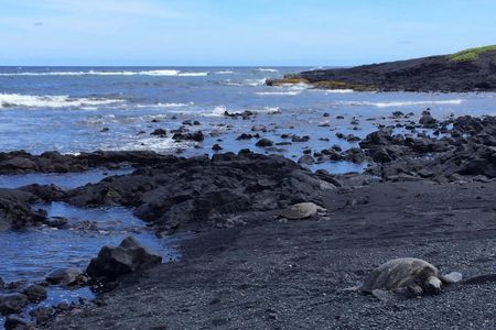 Big Island of Hawaii sightseeing day tour from Kohala